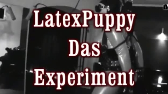 Latex Puppy