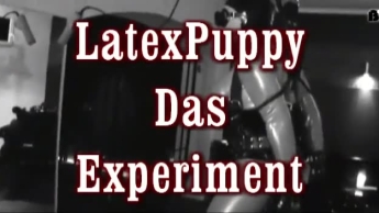 LatexPuppy