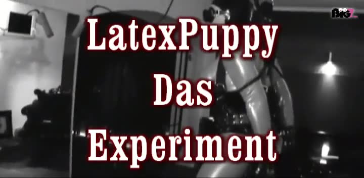 LatexPuppy