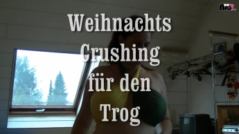 weihnachts crushing für den trog