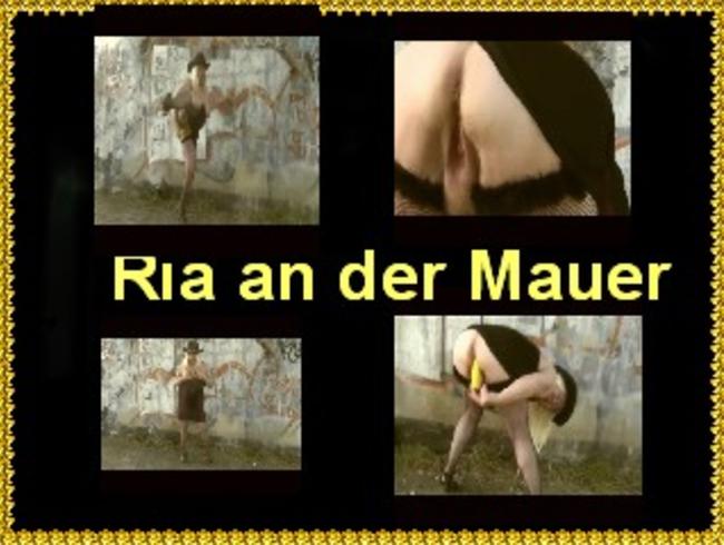 Dralle Ria an der Mauer